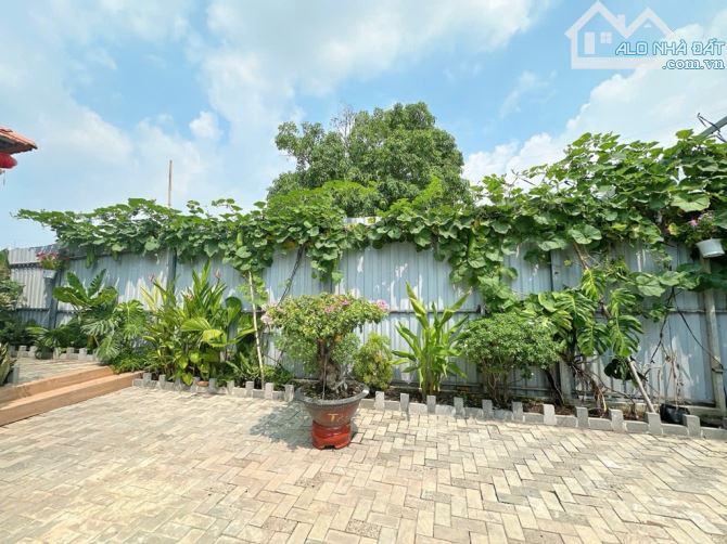 MẶT TIỀN ĐẤT TO SIÊU HIẾM - VIEW SÔNG THAM LƯƠNG 25x48 - ĐÔNG HƯNG THUẬN Q12 CHỈ 66 TỶ - 9