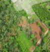 1,2 SÀO VIEW RUỘNG QUY HOẠCH ĐẤT Ở HẺM NGUYỄN XUÂN NGUYÊN: GIÁ 2.4 tỷ