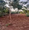 Buôn Ju Eatu sau trường học 6x60 tc 140m giá chỉ 1390