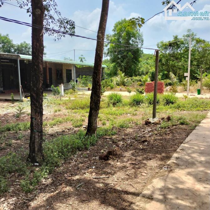 Mặt tiền đường bê tông chỉ cần 285 triệu cc sang tên