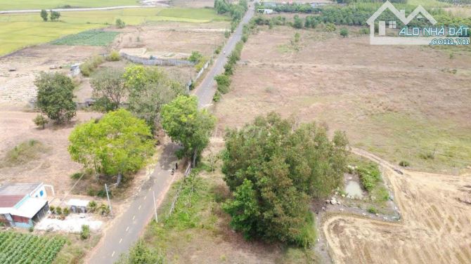 ☎️Trung Tâm Suối Nghệ👉 Đất kcn Châu Đức này có gì khiến Nhà Đầu Tư phải 1 lần xem qua
