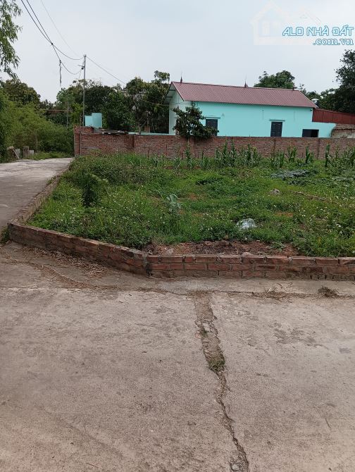 Bán Đất - Xã Tân Minh( Sóc Sơn )- 45 m2 - Full Thổ Cư - 1,1 Tỷ