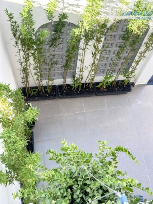 Bán nhà ngay Bạch Đằng, Bình Thạnh. Giá: 2 tỷ 510tr/ 68,2m2, sổ riêng, gần đại học HUTECH