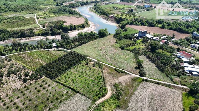 bán 4.300m2 quy haochj full thổ cư có sẵn vườn trái cây giá rẻ xã Sông Cầu, Khánh Vĩnh