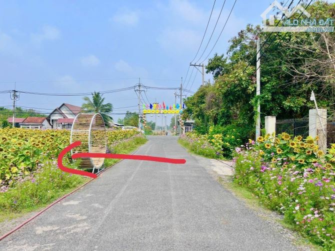 Bán đất Tân Thạnh Đông - giá 1,650 tỷ