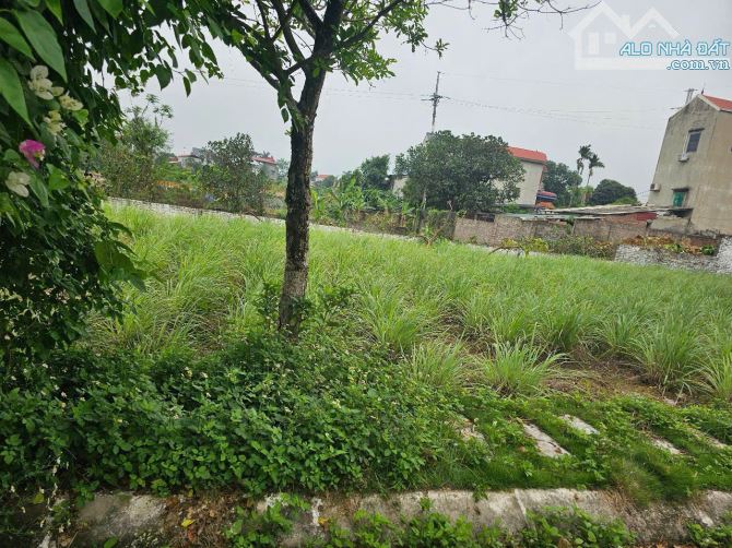 Bán lô đất 190m2, sổ HN tại xã Hoà Thạch, Quốc Oai. Gần chùa Hoà Phúc. Giá nhỉnh 3tỷ