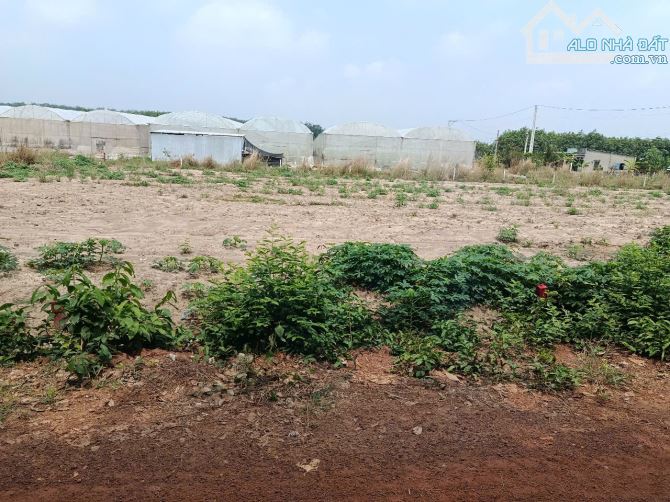 Cần bán gấp miếng đất nằm vị trí đẹp