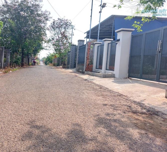 Đất thổ cư Hoà Phú gần trường tiểu học Phú Thái và chợ Hoà Phú