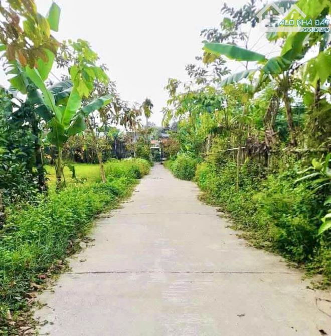 Phường Điện Minh - 145m2 - Ngang 5m - Oto Thông - Chỉ 599.