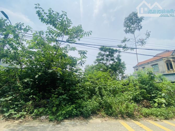 Bán đất trung tâm Minh Quyết, Khai Quang, Vĩnh Yên, Vĩnh Phúc