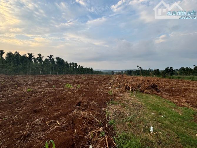 Đất nông nghiệp Hoà Thắng full sầu ngay gần khu dân cư