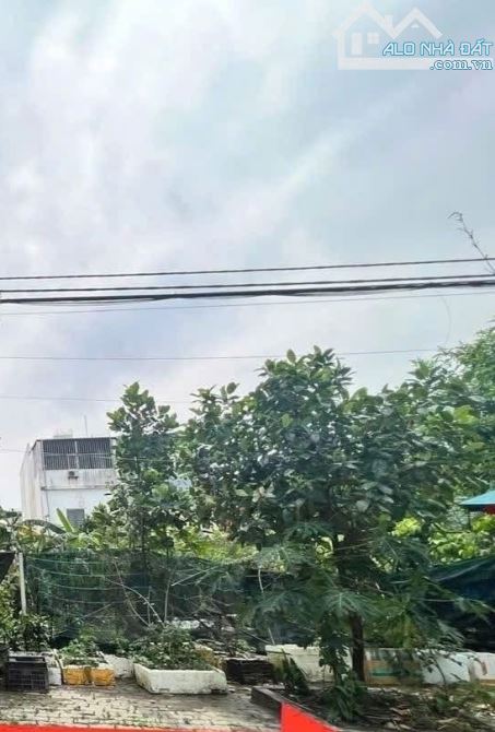 🔥 Siêu Phẩm Đất Nền Bàu Mạc 6 – Vị Trí Đẹp Nhất Liên Chiểu, Cách Biển 5 Phút 🚶‍♂️ – Giá