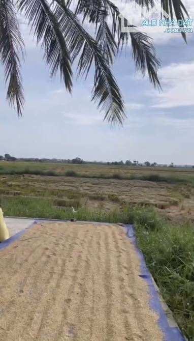 Bán lô đất view lúa tuyệt đẹp ngay trung tâm Hội An