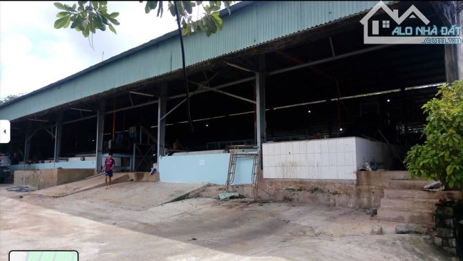 NHÀ XƯỞNG 6000M2, FULL ĐẤT SKC, LIỀN KỀ KCN SONADEZI CHÂU ĐỨC, CÁCH CAO TỐC BH-VT 4KM
