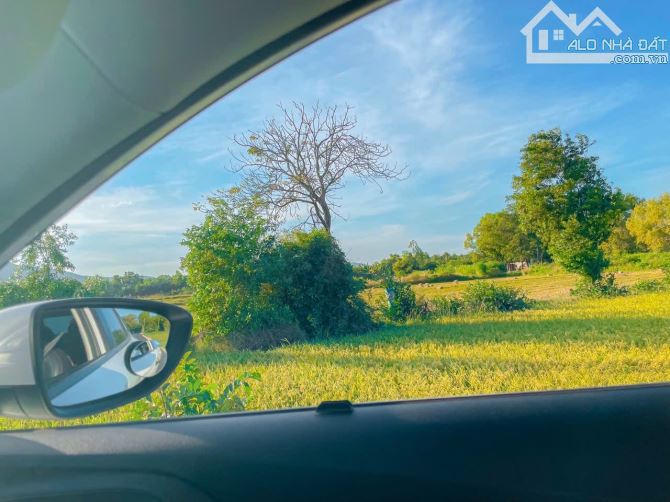 LÔ ĐẤT 7.3HA ĐỐI DIỆN ECO TÂN HƯNG,THỔ CƯ KHỦNG,CÁCH CAO TỐC & VÒNG XOAY LÊ TRỌNG TẤN 300M