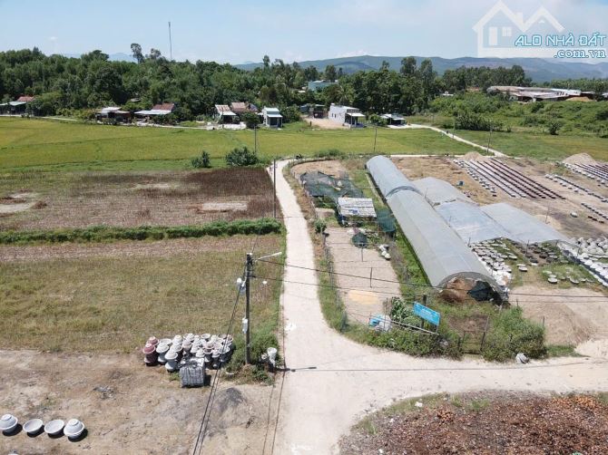 400triệu sở hữu được lô đất trồng cây gần dân cư