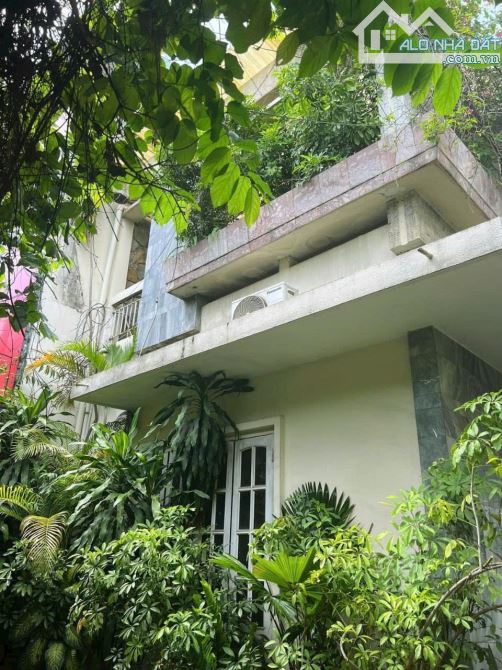 SIÊU PHẨM BIỆT THỰ CAO CẤP - 12M X 20M, 2 TẦNG SÂN VƯỜN - MẶT TIỀN 27i TRẦN NHẬT DUẬT, Q1 - 1