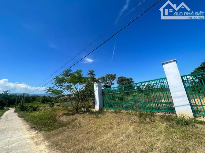 bán 4.300m2 quy haochj full thổ cư có sẵn vườn trái cây giá rẻ xã Sông Cầu, Khánh Vĩnh - 1