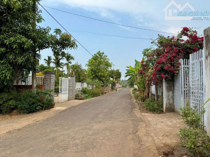 Đất buôn Tăng Ju phường Ea Kao ngay khu dân cư đường nhựa - 1