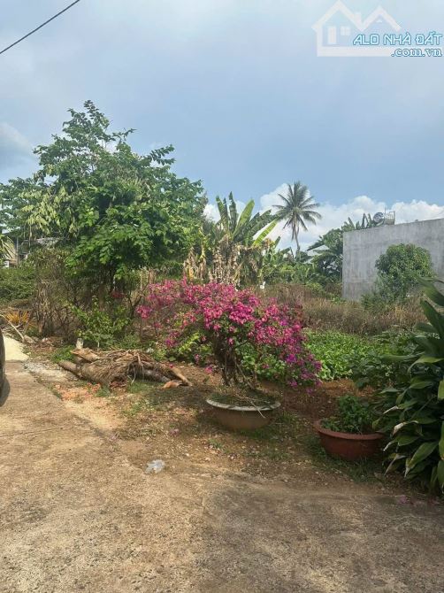 Đất đẹp hẻm 122 Mai Hắc Đế thông Nguyễn Duy Trinh ra Y Ngong BMT - 1