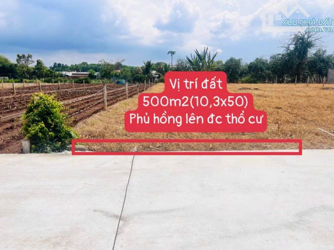 cần bán 500mv đất thị trấn đất đỏ huyện long đất với giá 1tỷ2 - 1