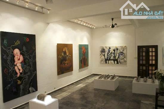 VIP- BIỆT THỰ TRẦN NHẬT DUẬT 12M X 20M- 2 TẦNG- TÂN ĐỊNH, QUẬN 1 - 1