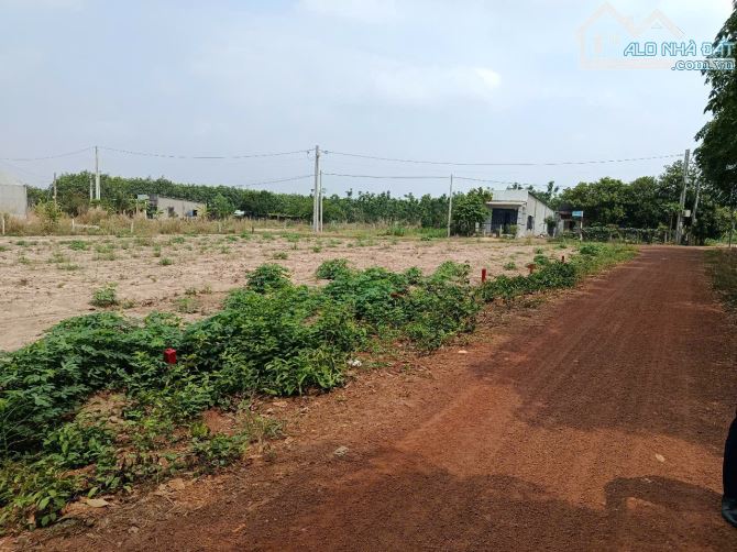 Cần bán gấp miếng đất nằm vị trí đẹp - 1