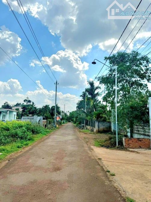 🅿️❇️ĐẤT THÔN 8 HOÀ THẮNG, HẺM 50 ĐAM SAN, 1,265 TỶ, 5x38m❇️ - 1