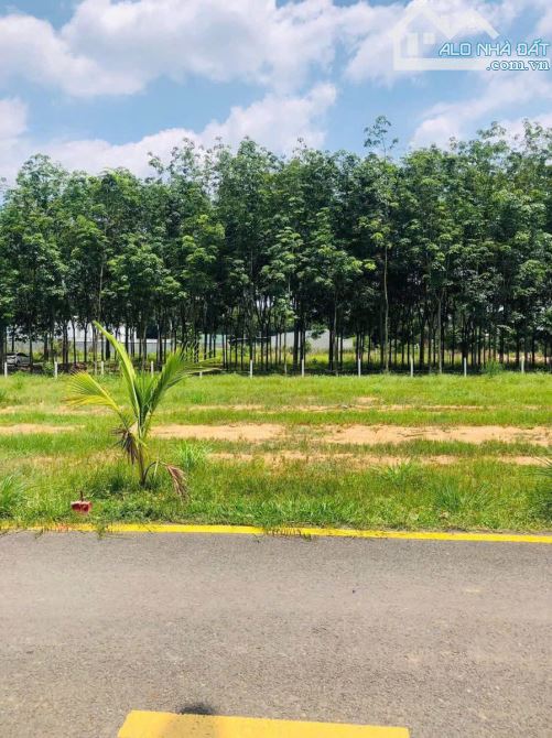 🌹🌹 hữu duyên cho ai sở hữu mảnh đất nền 163m2 chỉ 500tr ở Phước Thạnh Củ Chi - 1