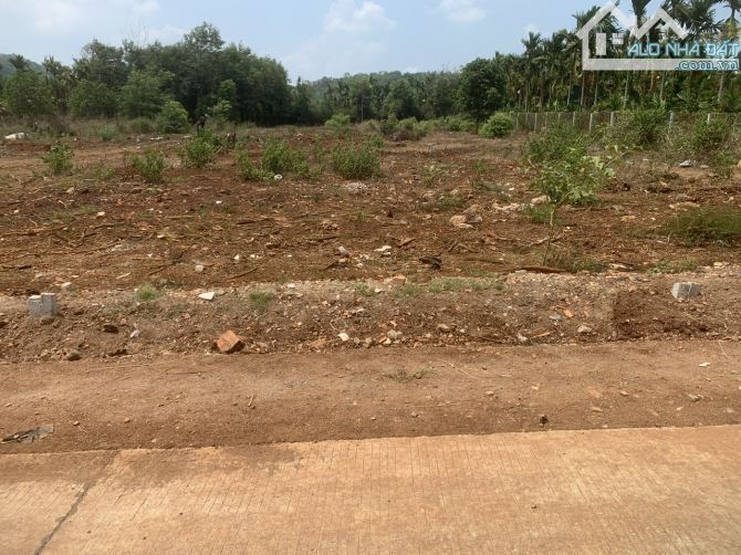 Đất full thổ cư Hoà Thắng gần sân bay - 1