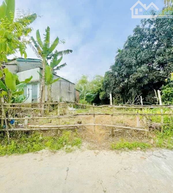 Phường Điện Minh - 145m2 - Ngang 5m - Oto Thông - Chỉ 599. - 1