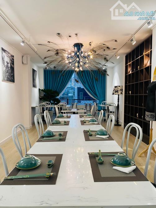 VIP- BIỆT THỰ KHU ĐẶNG DUNG 11M X 16M- 4 TẦNG- TÂN ĐỊNH, QUẬN 1 - 110TR - 1