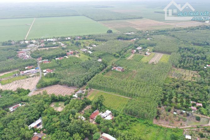 CƠ HỘI ĐẦU TƯ SINH LỜI- LÔ ĐẤT THỔ CƯ TÂY NINH CHỈ 660 TRIỆU - 1