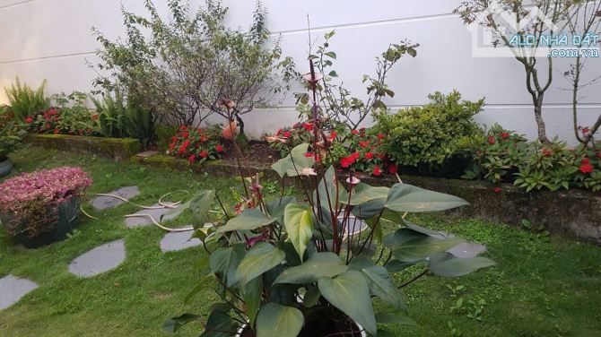 ✨🏡 BÁN NHÀ PHỐ MẶT TIỀN ĐƯỜNG THIỆN Ý - PHƯỜNG 4, ĐÀ LẠT ✨ 8T8 - 1