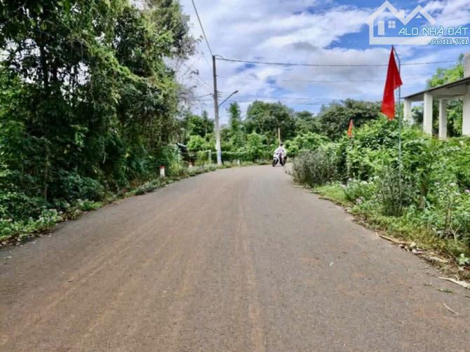 BÁN VƯỜN TRÁI CÂY LÁNG LỚN CHÂU ĐỨC, BRVT, DT 5867M2 CÓ 140TC, KHU DÂN CƯ, NHỰA THÔNG 8M - 1