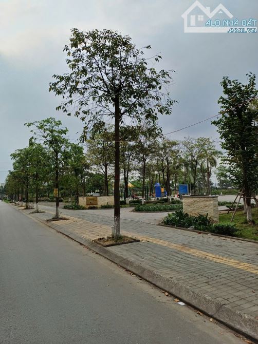 🔥Duy Nhất Lô Đồng Soi Thị Cầu Nhìn Khu Vui Chơi Bên Cạnh Là Hồ Lớn Mt 5m Dt 74m2 Giá 6 Tỷ - 1