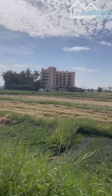 Bán lô đất view lúa tuyệt đẹp ngay trung tâm Hội An - 1