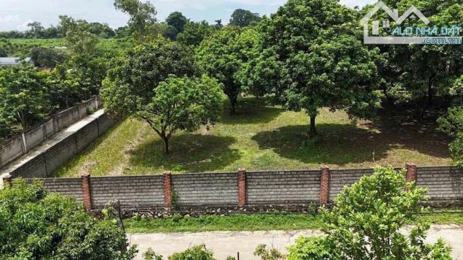 ĐẦU TƯ CỰC TỐT– 2712M² Giá 3,xtr/m2 Cạnh SÂN GOLF SKYLAKE- LƯƠNG SƠN- HÒA BÌNH - 1