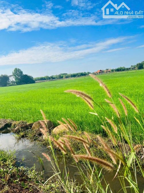 LÔ ĐẤT 7.3HA ĐỐI DIỆN ECO TÂN HƯNG,THỔ CƯ KHỦNG,CÁCH CAO TỐC & VÒNG XOAY LÊ TRỌNG TẤN 300M - 1