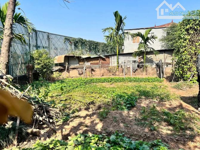 BÁN ĐẤT HỒ TÂY MẶT TIỀN 10M - Ô TÔ TẢI VÀO ĐẤT - VIEW HỒ QUẢNG AN. - 1