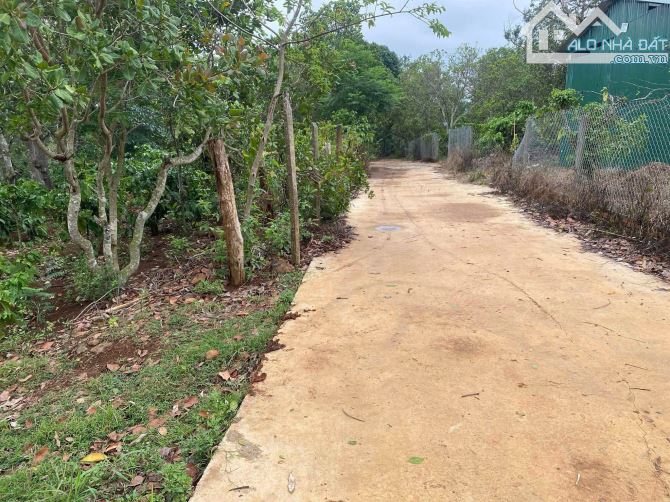 Bán 3,5 sào Ea Kao đất đỏ gần hồ đường bê tông - 1
