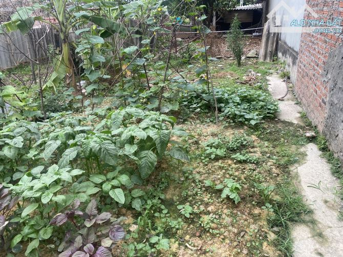 💥 Siêu phẩm đất 84m full thổ cư tại Xuân Bách- Quang Tiến đường ô tô thông các ngả - 1