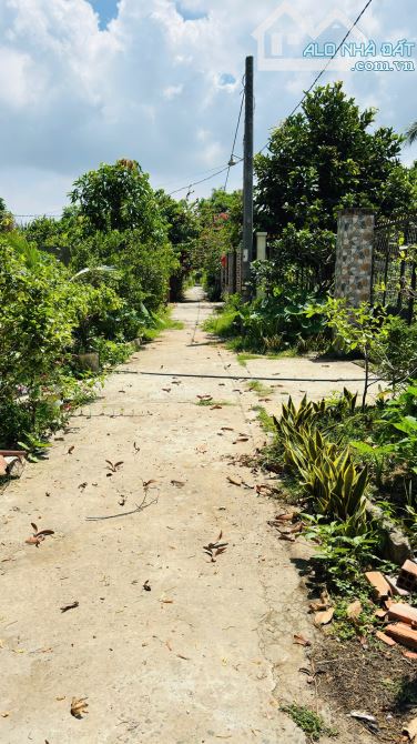 Bán 2 nền liền kề gần 900m2 xã Hữu Định đất sau lưng nghĩa trang Tỉnh Bến Tre - 1