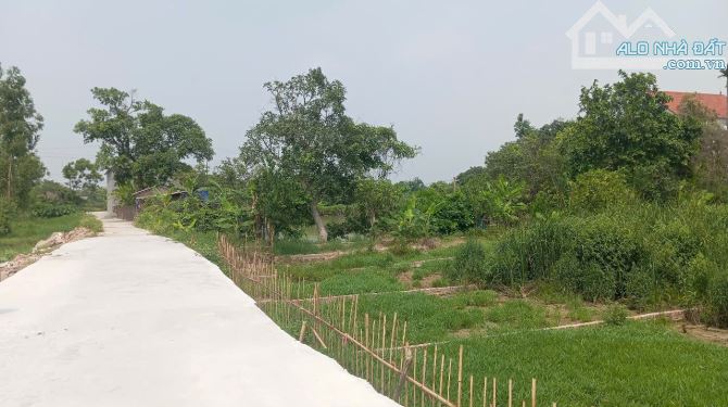 BÁN ĐẤT GIA BÌNH, BẮC NINH. 130M2 * MT 5M * 1,72 TỶ. ĐƯỜNG Ô TÔ, FULL THỔ CƯ. - 1