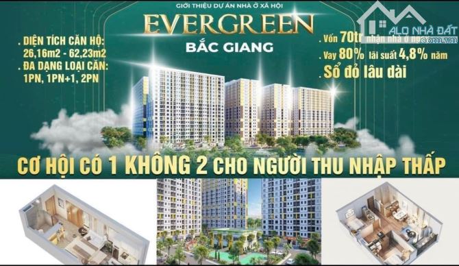 Bán và cho thuê căn studio và 2pn và 3pn tại cc evergreen bắc giang - 1