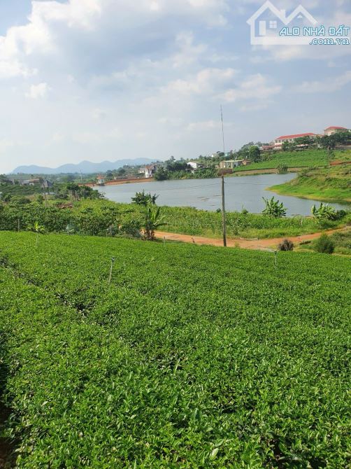 [BẢO LỘC , LÂM ĐỒNG] LÔ ĐẤT VÀNG HƠN 7000M² ĐẤT VỚI THỔ CƯ. - THÁC DAM BRI - 25.88 tỷ - 13