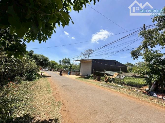 💥Đất mặt tiền đường nhựa D10 - thôn 4 EaTu gần trường Cao Bá Quát - 1.390 tỷ - 2