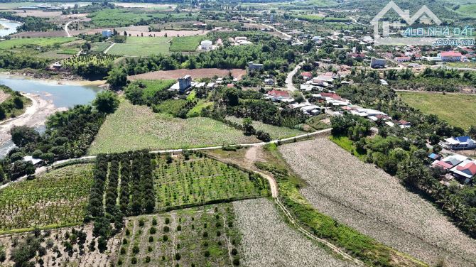 bán 4.300m2 quy haochj full thổ cư có sẵn vườn trái cây giá rẻ xã Sông Cầu, Khánh Vĩnh - 2