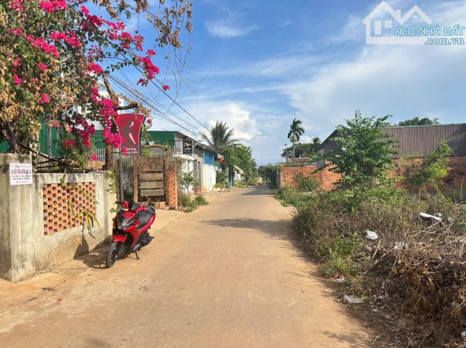 Bán đất mặt tiền A11 thôn 1 Cư Ebur - 2
