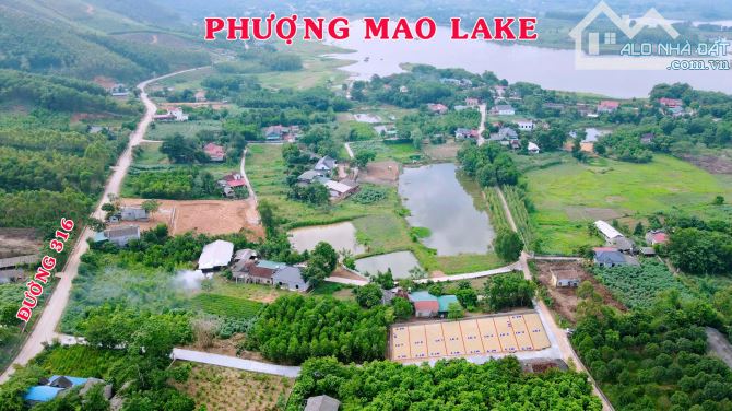 (GẦN HỒ) Em còn duy nhất 1 lô ĐẦU HỒI đất Thanh Thuỷ 135m2 gần Vườn Vua Resort 4xx triệu - 2